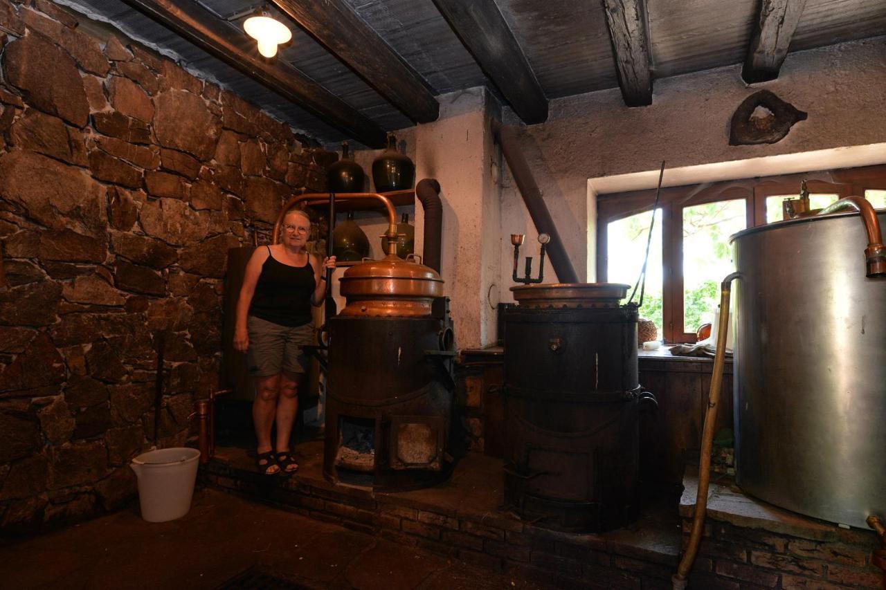 S'Harzala Vert Bis Bergheim Esterno foto
